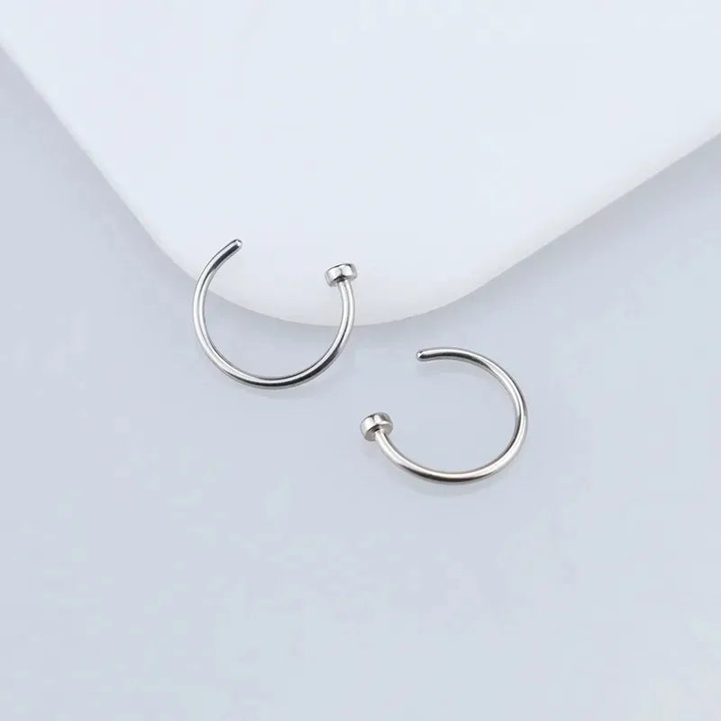 2/6 Stücke gefälschte Nasenringe für Frauen, 316L Edelstahl Lippenringe, Labret-Ring, Nasenring-Bügelförmige Stecknadeln, Nasenpiercing-Juwelen
