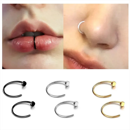2/6 Stücke gefälschte Nasenringe für Frauen, 316L Edelstahl Lippenringe, Labret-Ring, Nasenring-Bügelförmige Stecknadeln, Nasenpiercing-Juwelen